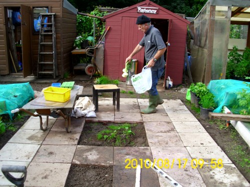 andy at allotment